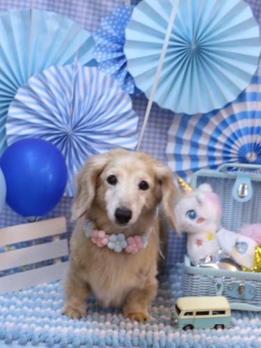 20231115マックスくん